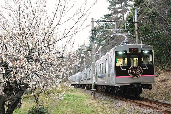 営業運転を開始した1000系車両（写真提供shinichi.y様）